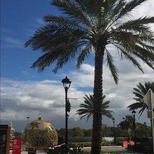 Meet your Posher, Jordana